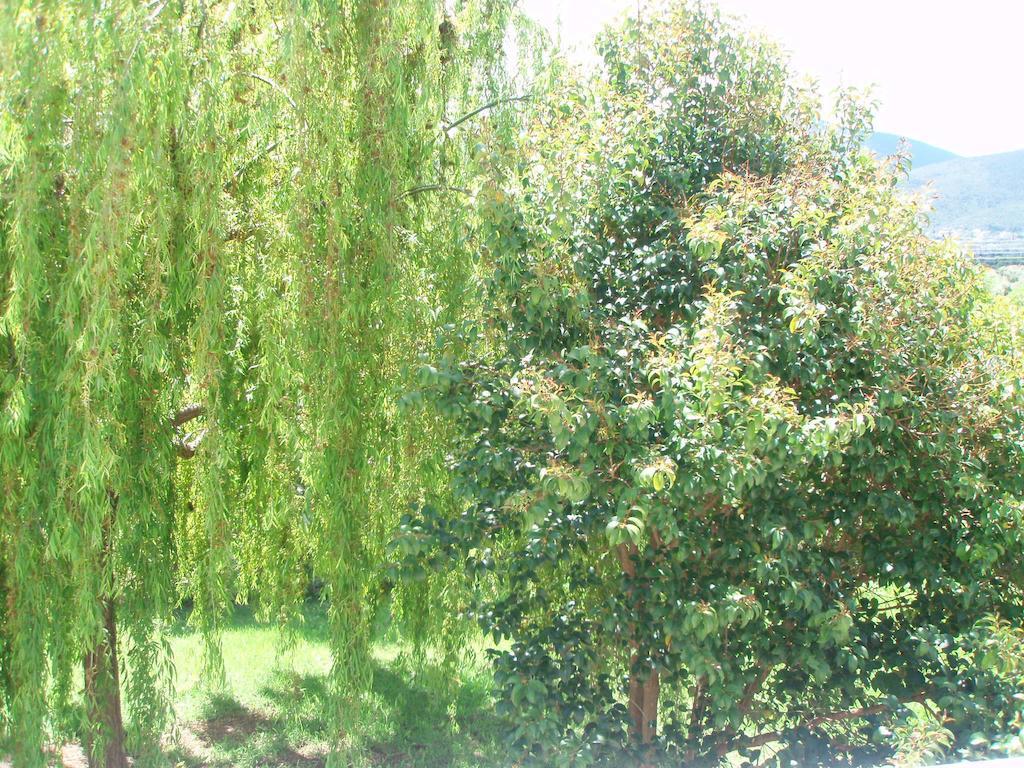 Finikes Studios Kefalonia Sami (Kefalonia) Exterior foto