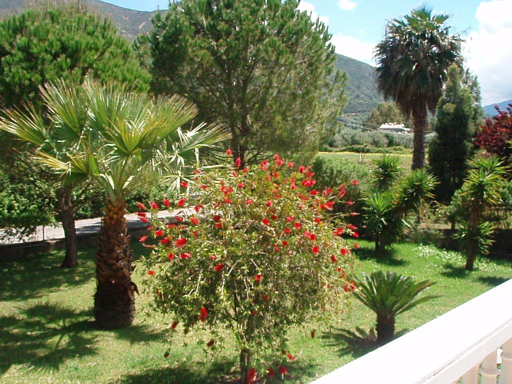 Finikes Studios Kefalonia Sami (Kefalonia) Exterior foto