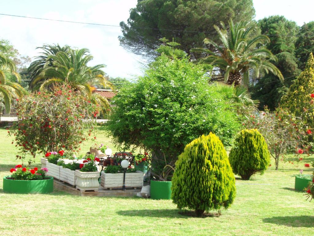Finikes Studios Kefalonia Sami (Kefalonia) Exterior foto