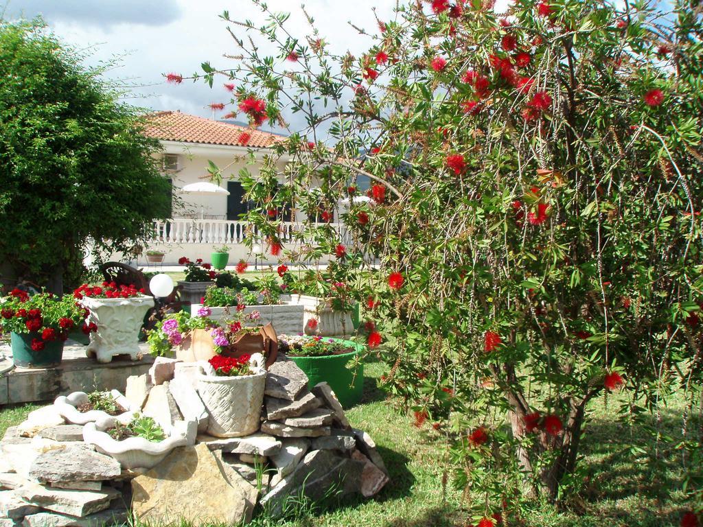 Finikes Studios Kefalonia Sami (Kefalonia) Exterior foto