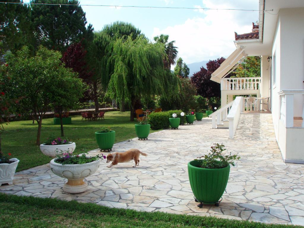 Finikes Studios Kefalonia Sami (Kefalonia) Exterior foto