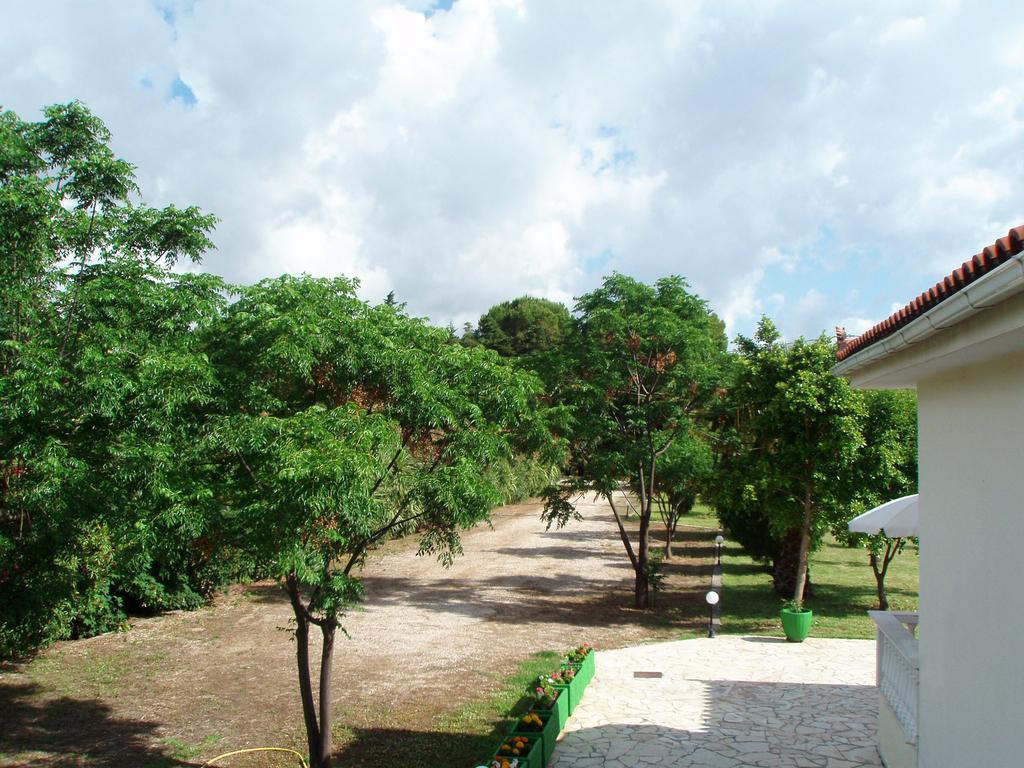 Finikes Studios Kefalonia Sami (Kefalonia) Exterior foto